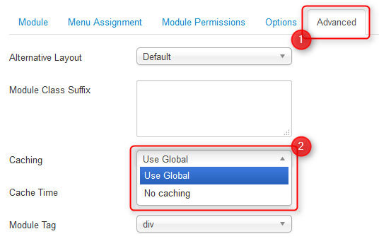 modulecaching